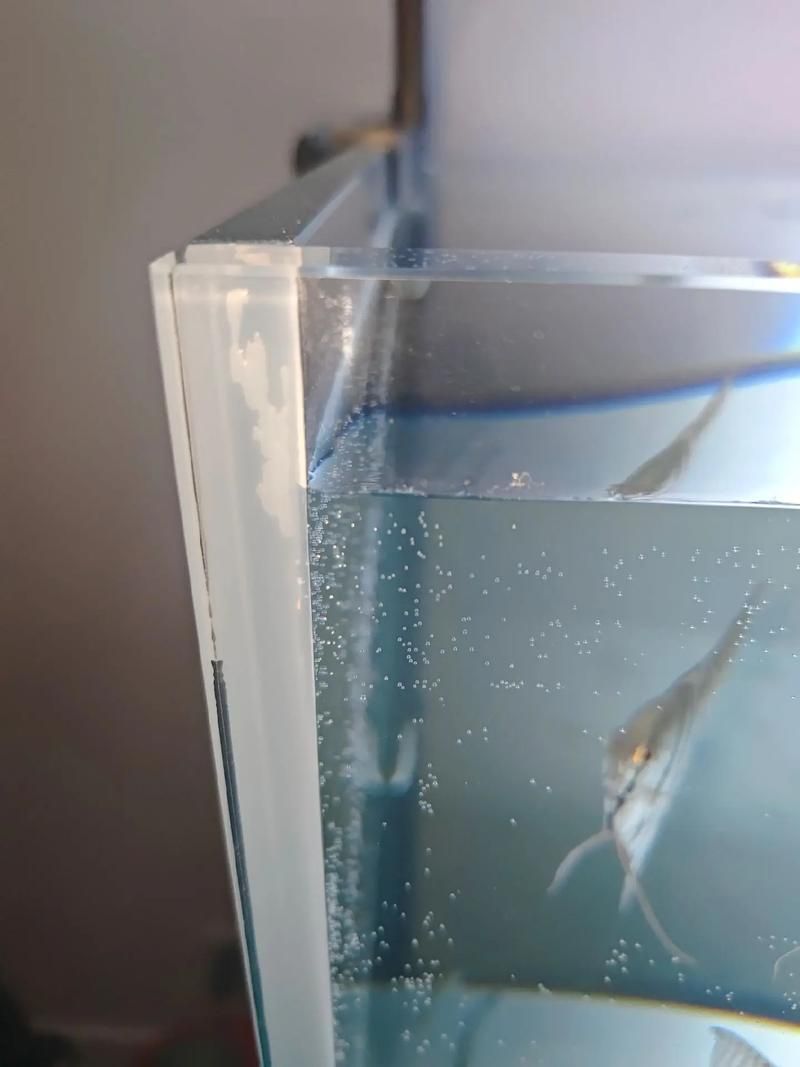 如何判斷魚缸的質(zhì)量好壞？（如何判斷魚缸的質(zhì)量好壞）