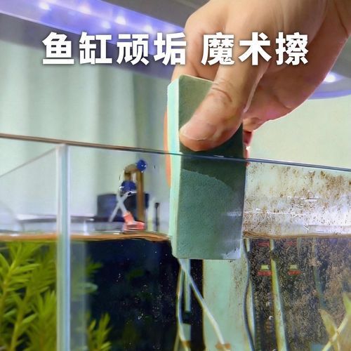 如何判斷魚缸的質(zhì)量好壞？（如何判斷魚缸的質(zhì)量好壞）