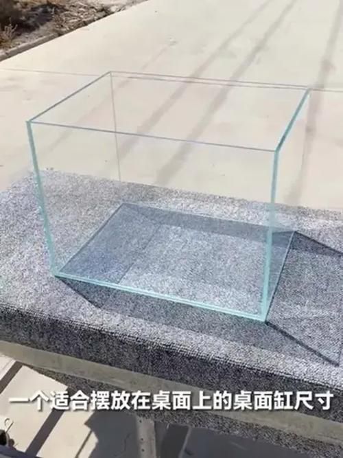 如何判斷魚缸的質(zhì)量好壞？（如何判斷魚缸的質(zhì)量好壞）