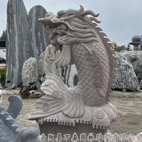 哪里可以找到高清的石雕龍魚圖片？（如何找到高清的石雕龍魚圖片？）