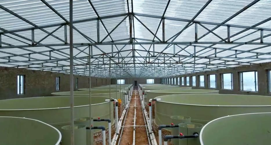 祥龍魚場哪個市的產量最高？（祥龍魚場產量定位）