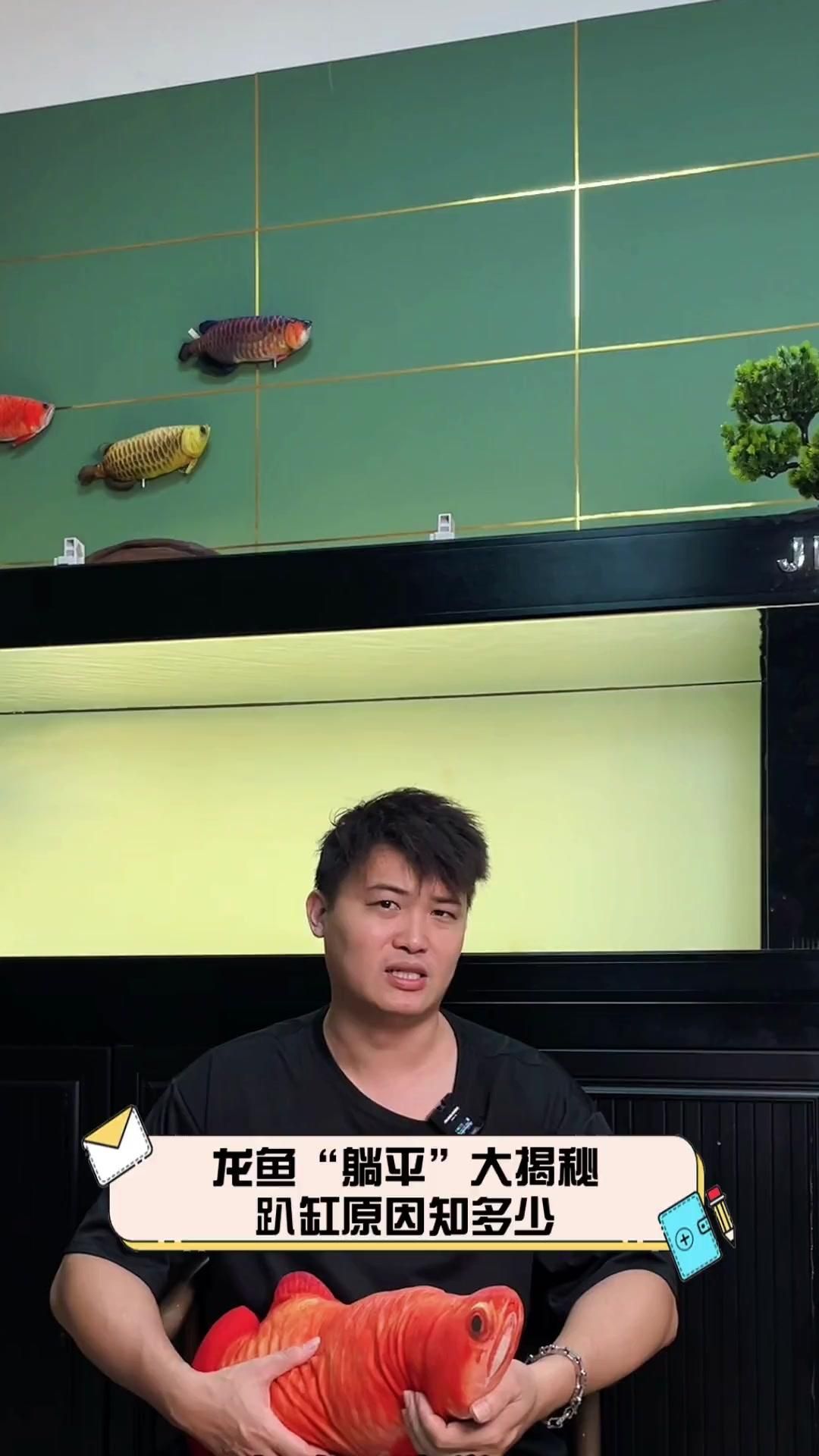 除了這三種病，龍魚趴缸還有哪些可能的原因？（龍魚“躺平”大揭秘,趴缸原因知多少）