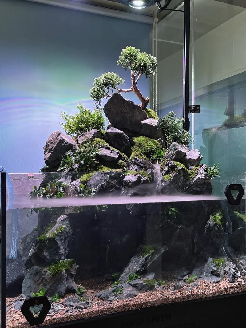 水鴨魚缸有哪些型號推薦（水鴉魚缸型號對比表）