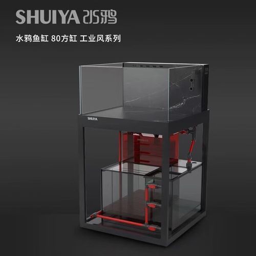 水鴨魚缸有哪些型號推薦（水鴉魚缸型號對比表）