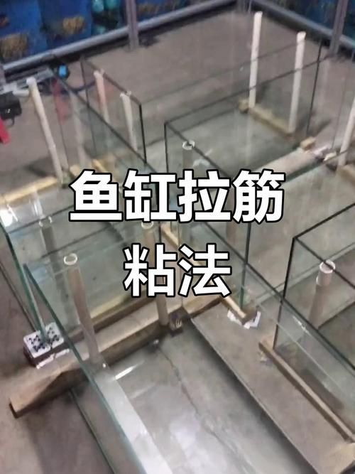 如何判斷一個(gè)魚(yú)缸品牌是否可靠？（一個(gè)魚(yú)缸品牌是否可靠）