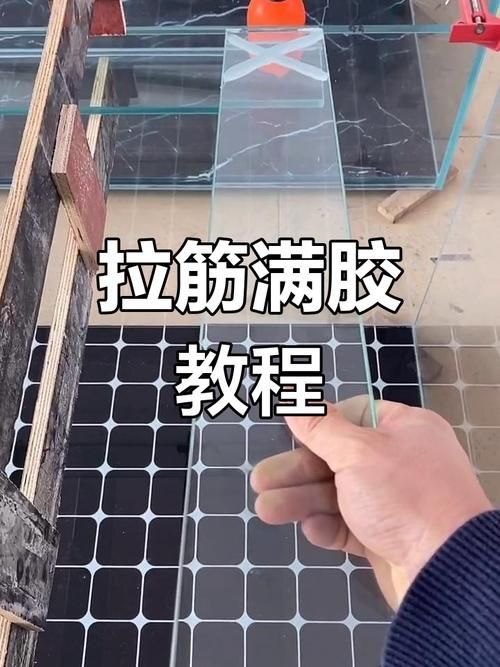 如何判斷一個(gè)魚(yú)缸品牌是否可靠？（一個(gè)魚(yú)缸品牌是否可靠）