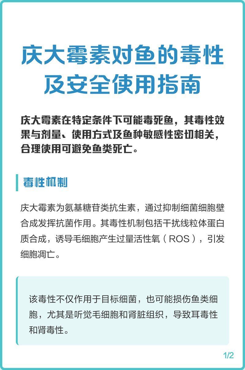 氟哌酸治療龍魚細(xì)菌感染的具體方法（氟哌酸治療龍魚細(xì)菌感染）