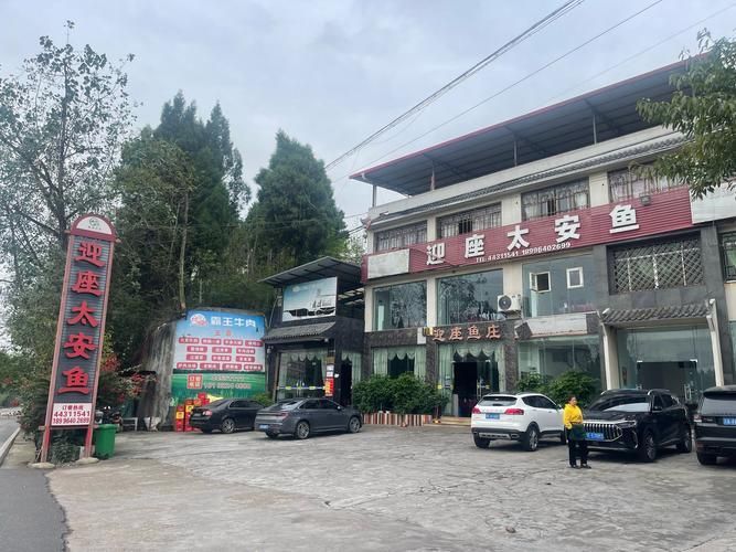 土龍魚在海南有哪些著名的餐館推薦？（海南土龍魚餐廳推薦）