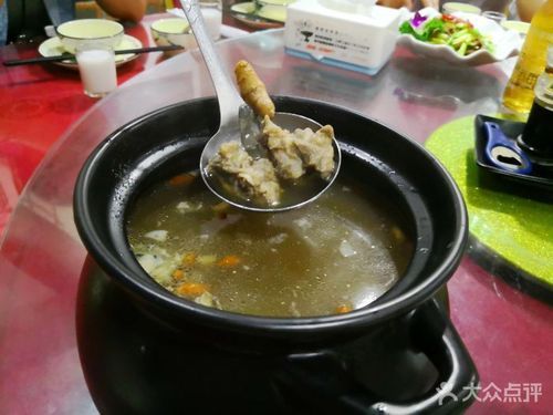 土龍魚在海南有哪些著名的餐館推薦？（海南土龍魚餐廳推薦）