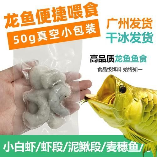 蝦仁對龍魚有哪些具體益處？（蝦仁對龍魚的具體益處）