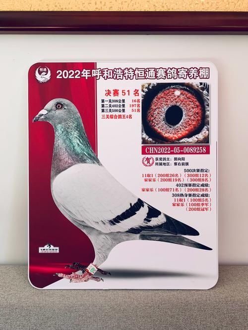 南雄龍魚的市場供應情況如何？（南雄龍魚市場供應數據需求詳解南雄龍魚市場供應信息）