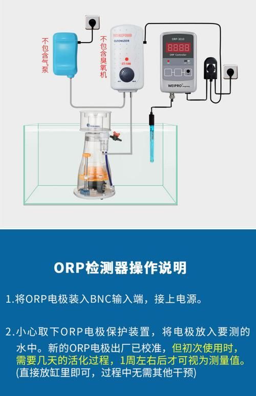 如何預(yù)防銀龍魚的常見疾病？（養(yǎng)殖銀龍魚的基礎(chǔ)知識(shí)）