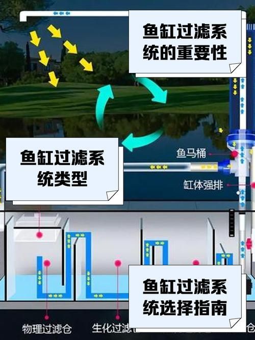 如何預(yù)防銀龍魚的常見疾?。浚B(yǎng)殖銀龍魚的基礎(chǔ)知識(shí)）