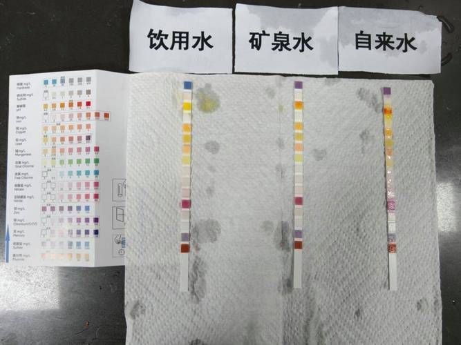 如何預防金龍魚腸炎？（如何科學預防金龍魚腸炎）