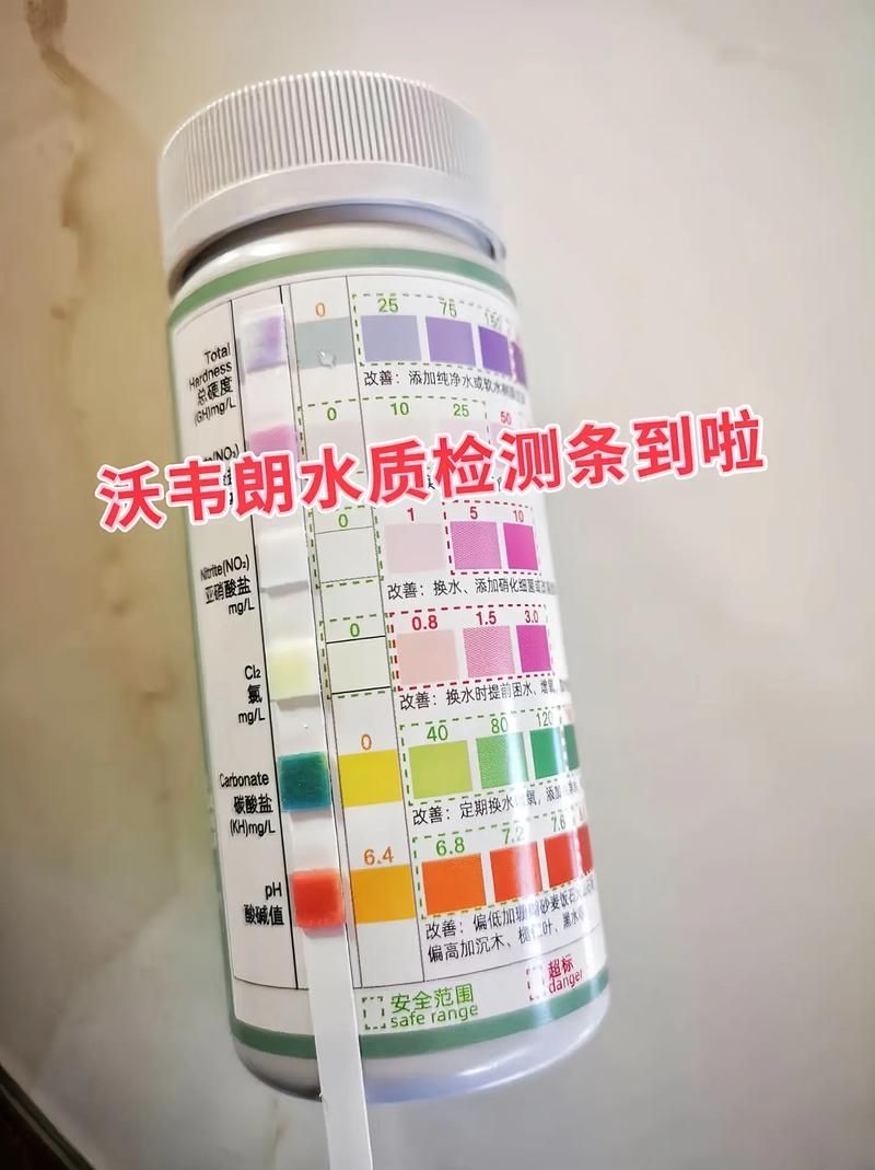 如何預防金龍魚腸炎？（如何科學預防金龍魚腸炎）
