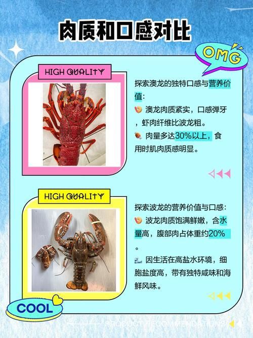 青龍魚和澳龍有哪些相似之處？（青龍魚和澳洲龍蝦的相似之處（scleropagesformosus））