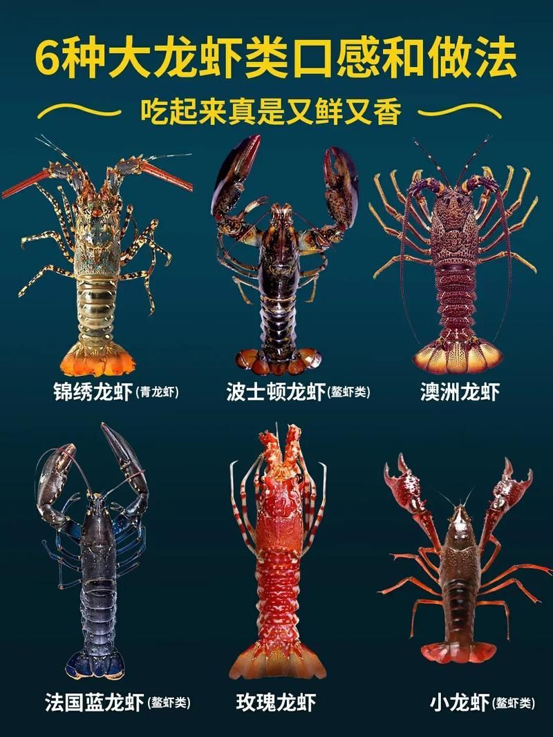 青龍魚和澳龍有哪些相似之處？（青龍魚和澳洲龍蝦的相似之處（scleropagesformosus））
