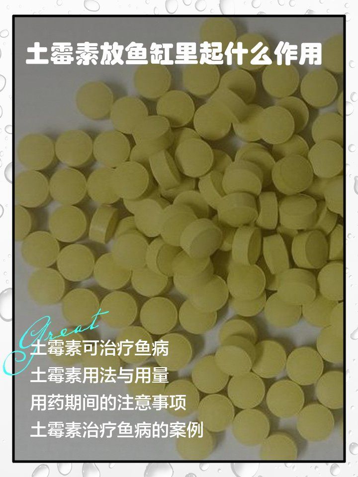 龍魚腸炎用土霉素需要幾個療程嗎？（使用土霉素治療龍魚腸炎的標準療程是連續用藥3天為一個療程）