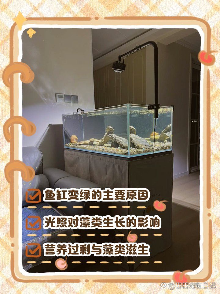 魚(yú)缸水變綠是正?，F(xiàn)象嗎？（如何判斷魚(yú)缸水變綠）