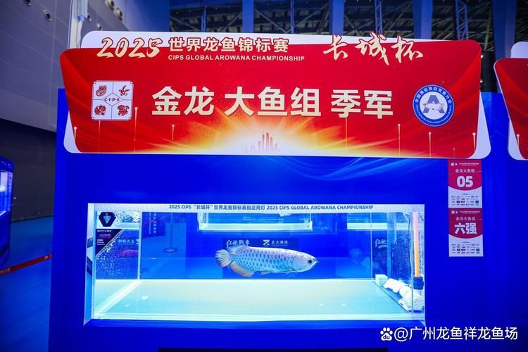 如何參與長城杯龍魚大賽？（“長城杯龍魚大賽（長城杯龍魚大賽”1000字參與指南）