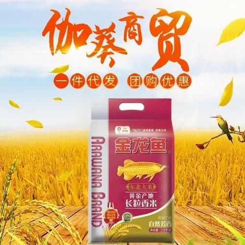 金龍魚方正長粒香米在哪里可以購買？（金龍魚方正長粒香米有哪些規(guī)格可選線下倉儲營銷中心）