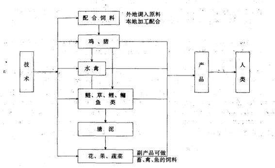 如何預防細菌性魚病的發生（如何預防細菌性魚病） 如何預防細菌性魚病的發生（如何預防細菌性魚病） 龍魚百科 第1張