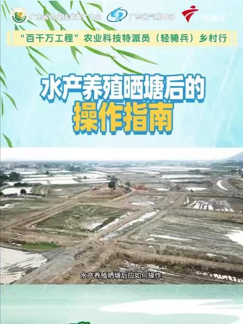 如何預防細菌性魚病的發生（如何預防細菌性魚病） 如何預防細菌性魚病的發生（如何預防細菌性魚病） 龍魚百科 第3張