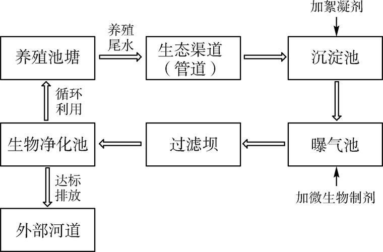如何預防細菌性魚病的發生（如何預防細菌性魚病） 如何預防細菌性魚病的發生（如何預防細菌性魚病） 龍魚百科 第4張