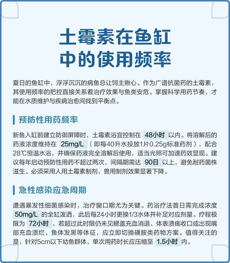 土霉素治療錦鯉爛身需要多長時間（土霉素治療錦鯉爛身的每日操作清單）