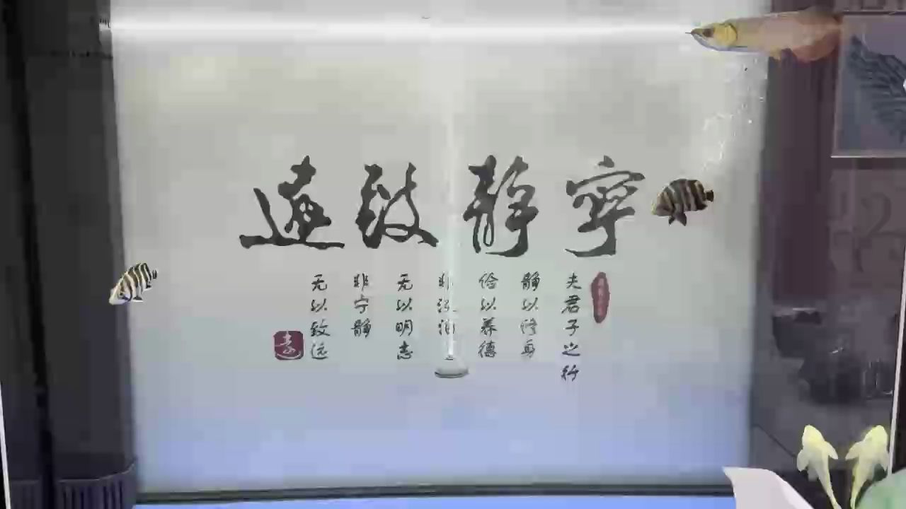 打卡（打卡是一種怎樣的體驗？）