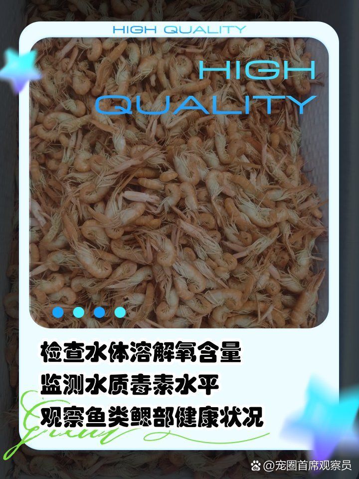 龍魚浮頭后多久會(huì)恢復(fù)（龍魚浮頭后如何恢復(fù)） 龍魚浮頭后多久會(huì)恢復(fù)（龍魚浮頭后如何恢復(fù)） 龍魚百科 第2張