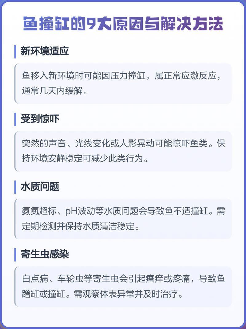 如何判斷魚撞缸的原因（魚撞缸的9大原因與解決方法）