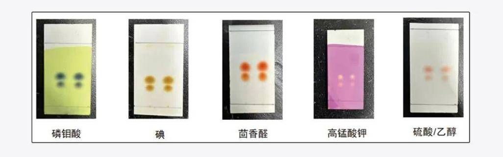 有哪些方法可以測試辣椒紅龍的純度（辣椒紅龍的純度檢測） 有哪些方法可以測試辣椒紅龍的純度（辣椒紅龍的純度檢測） 龍魚百科 第9張