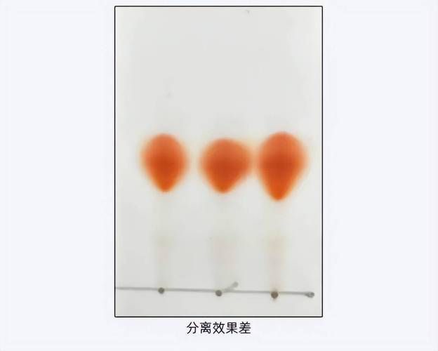 有哪些方法可以測試辣椒紅龍的純度（辣椒紅龍的純度檢測） 有哪些方法可以測試辣椒紅龍的純度（辣椒紅龍的純度檢測） 龍魚百科 第8張