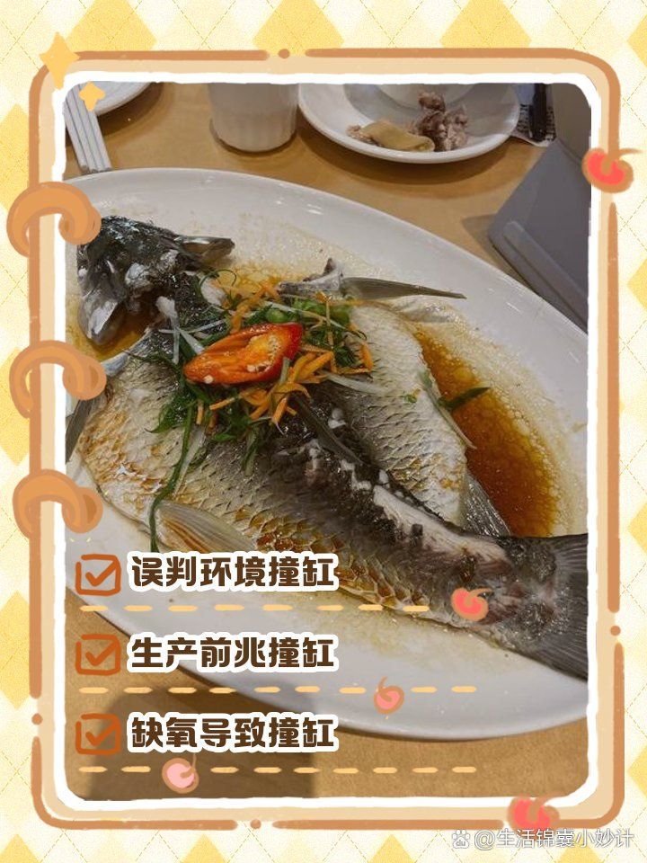 有哪些魚種容易撞缸（智泓池藝楊工魚撞缸原因大揭秘魚類撞缸原因大揭秘）