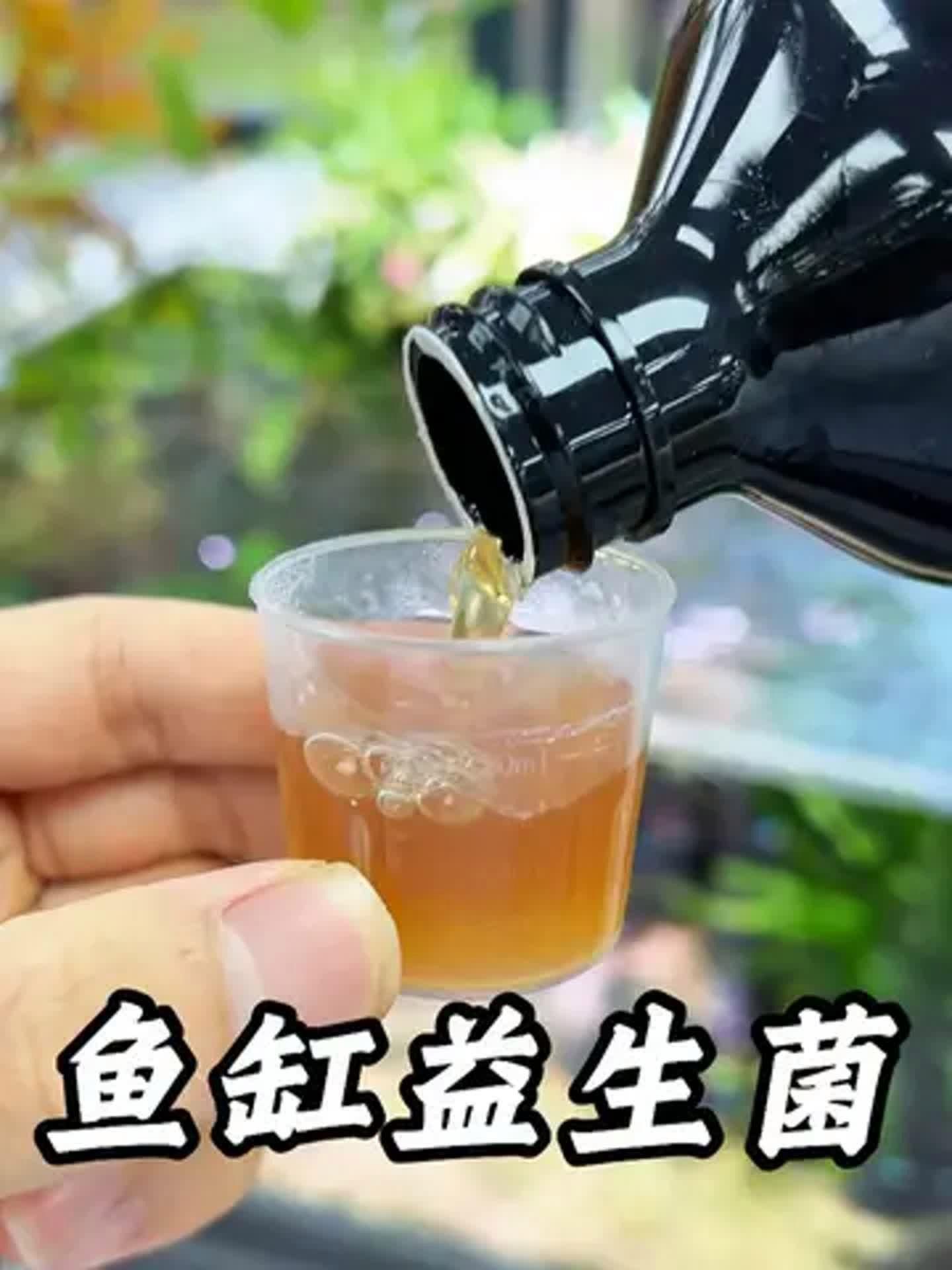 推薦一些龍魚專用益生菌品牌（魚缸養魚日記——龍魚益生菌）