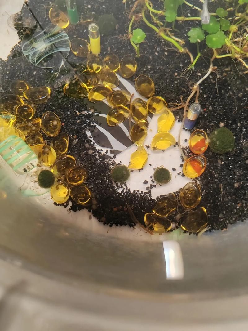 如何保護魚卵不被其他魚類啄食（arxiv論文助手arxiv論文助手mcp工具arxiv論文助手）