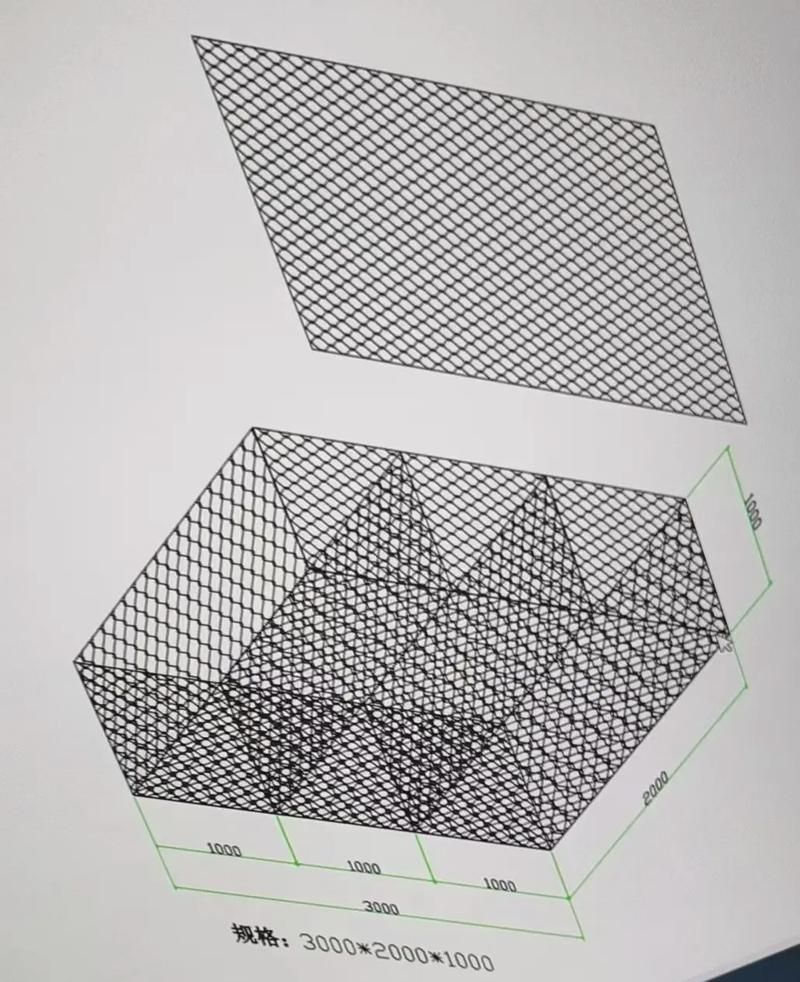 如何保護魚卵不被其他魚類啄食（arxiv論文助手arxiv論文助手mcp工具arxiv論文助手）