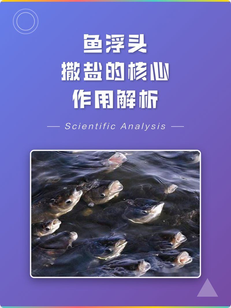 魚浮頭撒鹽起什么作用（魚浮頭撒鹽急救原理詳解繪繪情書）