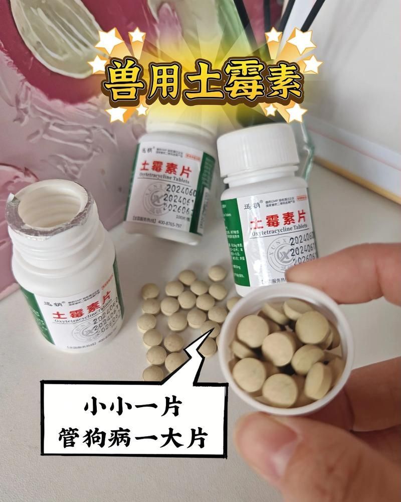 土霉素如何正確使用（關于土霉素的使用）