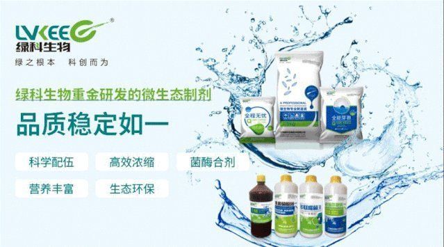 如何判斷魚(yú)病種類（arxiv論文助手arxiv論文助手arxiv論文助手）