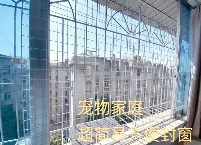 如何確保龍貓和貓的安全（如何確保龍貓和貓的安全，龍貓和貓的安全風險及防護措施） 如何確保龍貓和貓的安全（如何確保龍貓和貓的安全，龍貓和貓的安全風險及防護措施） 龍魚百科 第12張