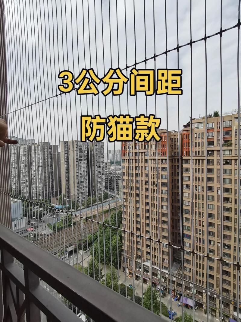 如何確保龍貓和貓的安全（如何確保龍貓和貓的安全，龍貓和貓的安全風險及防護措施） 如何確保龍貓和貓的安全（如何確保龍貓和貓的安全，龍貓和貓的安全風險及防護措施） 龍魚百科 第7張