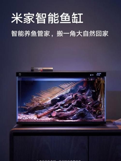 推薦幾款性價(jià)比高的魚缸（幾款性價(jià)比高的魚缸推薦，性價(jià)比高性價(jià)比高的魚缸推薦）