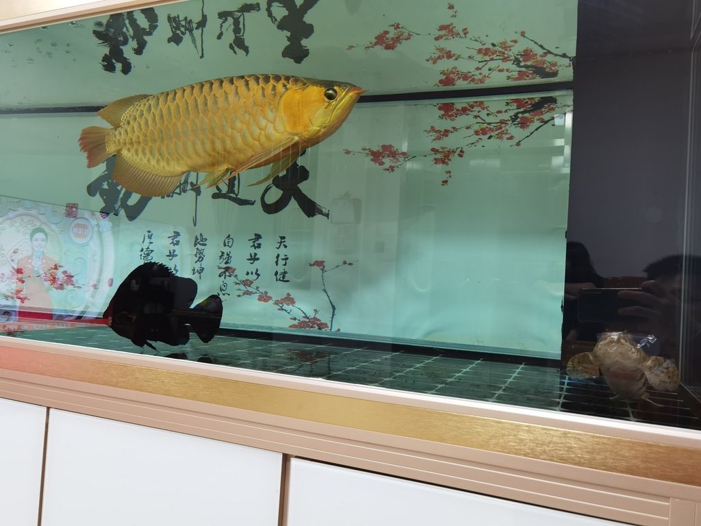 （全球氣候變化對農業的影響）