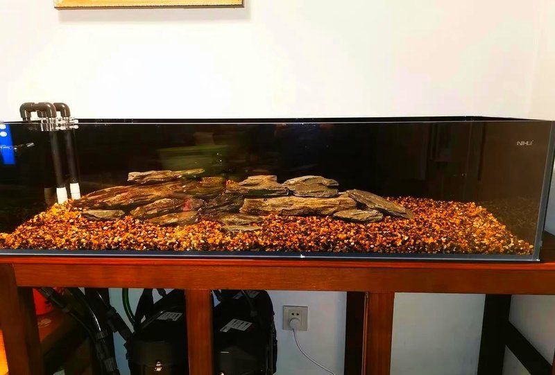 <strong><mark>西安</mark></strong>魚友如何應對硬水問題（如何判斷自家魚缸的硬度）