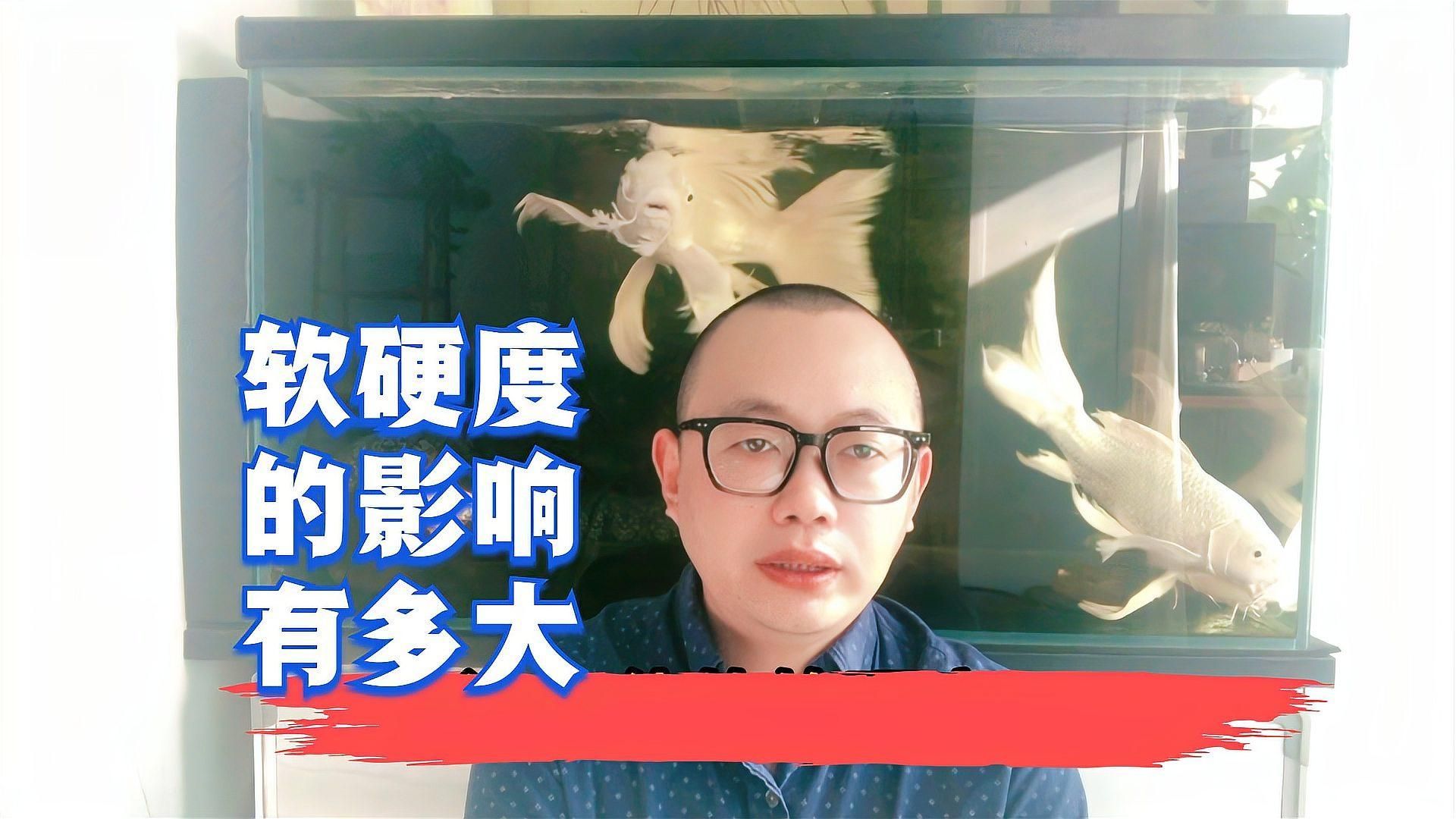 西安魚友如何應對硬水問題（如何判斷自家魚缸的硬度）