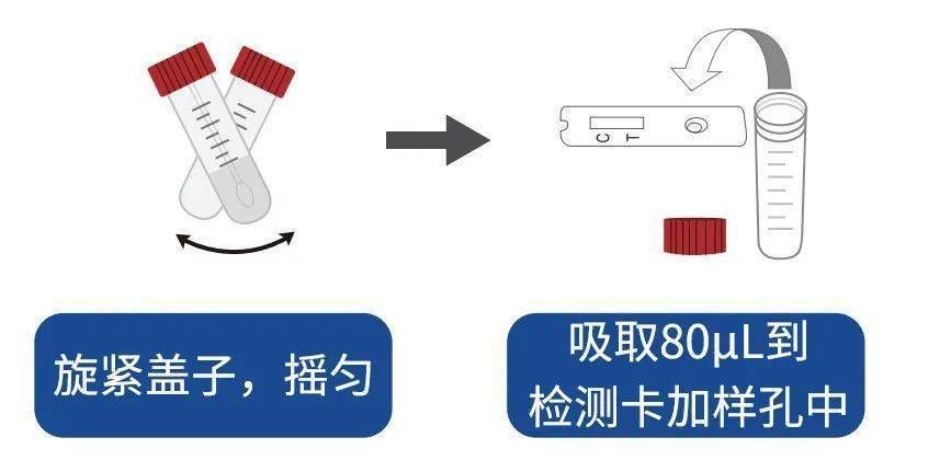 能否提供更詳細的檢測步驟（關于新冠病毒抗原自測） 能否提供更詳細的檢測步驟（關于新冠病毒抗原自測） 龍魚百科 第6張