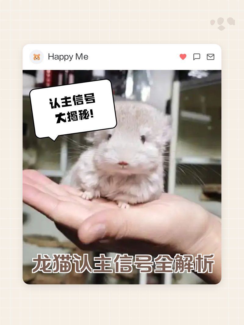 有哪些方法可以加速龍貓認主（《龍貓認主信號全解析》）
