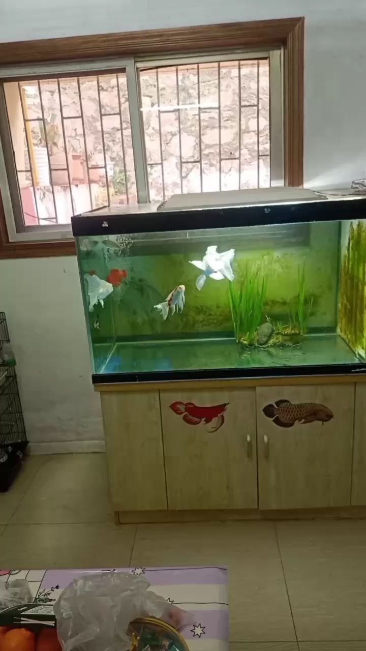 新的一年祝大家身體健康，萬事如意（愿您的心靈如同信念般堅定）